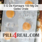 5 G De Kamagra 100 Mg De Gelée Orale 24
